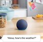 Amazon Echo Dot 5, balts цена и информация | Skaļruņi | 220.lv