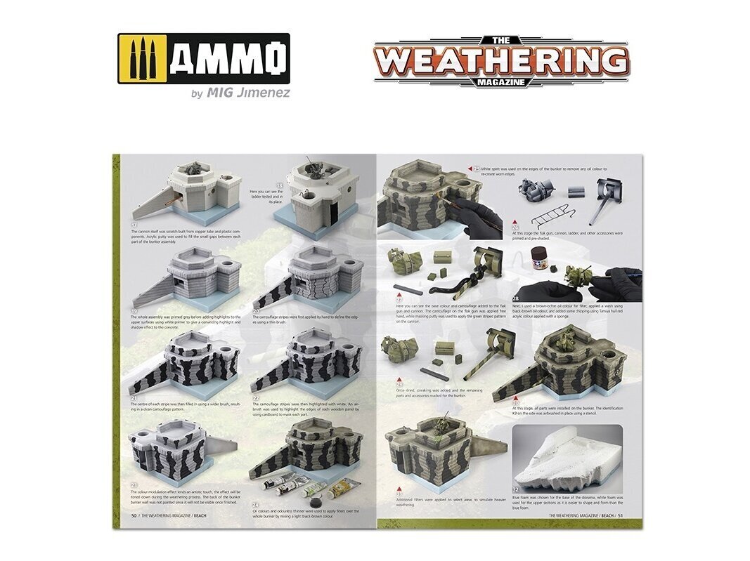 AMMO MIG - The Weathering Magazine Issue 31: BEACH (English), 4530 цена и информация | Grāmatas pusaudžiem un jauniešiem | 220.lv