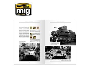 AMMO MIG - PANZER DNA (ENGLISH), 6035 цена и информация | Книги для подростков  | 220.lv