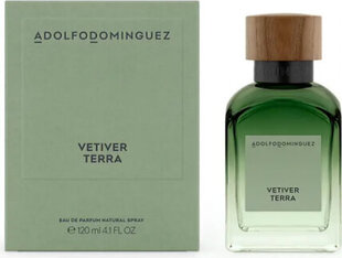 Parfimērijas ūdens Adolfo Dominguez Vetiver Terra EDP vīriešiem, 200 ml cena un informācija | Vīriešu smaržas | 220.lv