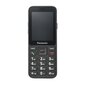 Panasonic KX-TU250EXB Black cena un informācija | Mobilie telefoni | 220.lv