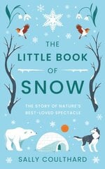 The Little Book of Snow cena un informācija | Stāsti, noveles | 220.lv