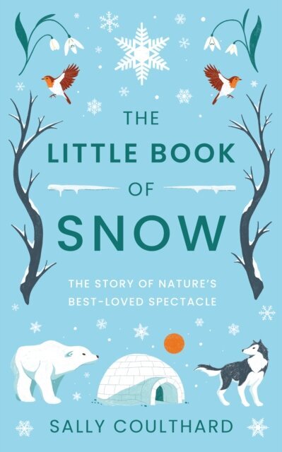 The Little Book of Snow cena un informācija | Stāsti, noveles | 220.lv
