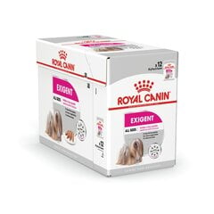 Royal Canin pilnvērtīga sabalansēta barība suņiem, 85gx12 цена и информация | Консервы для собак | 220.lv