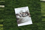 Rugsx ковровая дорожка Adagio, зелёная, 67 см