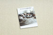 Paklājs - celiņš KARMEL Gluds, vienkrāsains balta 70 cm цена и информация | Paklāji | 220.lv
