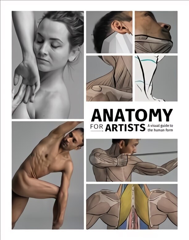 Anatomy for Artists: A visual guide to the human form cena un informācija | Mākslas grāmatas | 220.lv