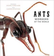 Ants: Workers of the World cena un informācija | Enciklopēdijas, uzziņu literatūra | 220.lv