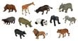 Savvaļas dzīvnieku figūriņu komplekts Mini Collecta, A1105 цена и информация | Rotaļlietas zēniem | 220.lv