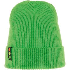 Bērnu cepure Viking Semar Jr., zaļa cena un informācija | Ziemas apģērbs bērniem | 220.lv