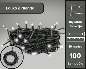 Āra 100 LED vītne ar zibspuldzes funkciju цена и информация | Гирлянды | 220.lv