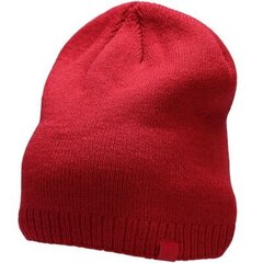 Ziemas cepure 4F H4Z22CAM00262S, sarkana cena un informācija | Vīriešu cepures, šalles, cimdi | 220.lv