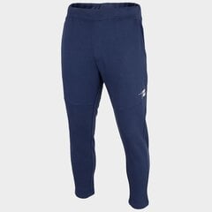 Спортивные штаны мужские 4F M H4Z22-SPMD013 31S, темно-синие цена и информация | Мужская спортивная одежда | 220.lv