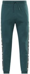 Мужские брюки Reebok Ri TAPE Jogger Green HJ7844 HJ7844/L цена и информация | Мужская спортивная одежда | 220.lv