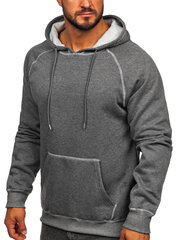 Мужской джемпер J.Style Fleece Grey 8B152-5 8B152-5/2XL цена и информация | Мужские толстовки | 220.lv