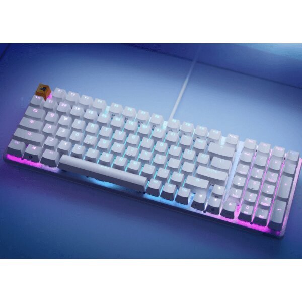 Glorious PC Gaming Race GMMK 2 Full-Size96% Fox Switches White US цена и информация | Klaviatūras | 220.lv