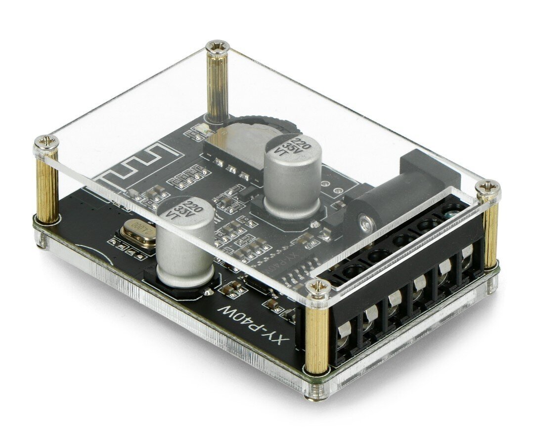 DFRobot DFR0675-EN, skaņas pastiprinātāja modulis ar Bluetooth 5.0 цена и информация | Atvērtā koda elektronika | 220.lv