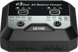 Зарядное устройство SkyRC 89172 цена и информация | Зарядные устройства для элементов питания | 220.lv