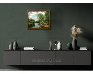 Gleznošanas komplekts pēc numuriem 40x50 cm, Collection D'Art, PBN-A075 cena un informācija | Gleznas pēc numuriem | 220.lv