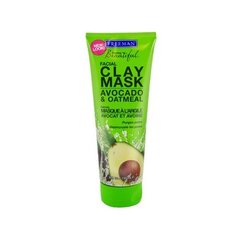 Māla sejas maska ​​ar avokado un auzām (Facial Clay Mask Avocado & Oatmeal) cena un informācija | Sejas maskas, acu maskas | 220.lv