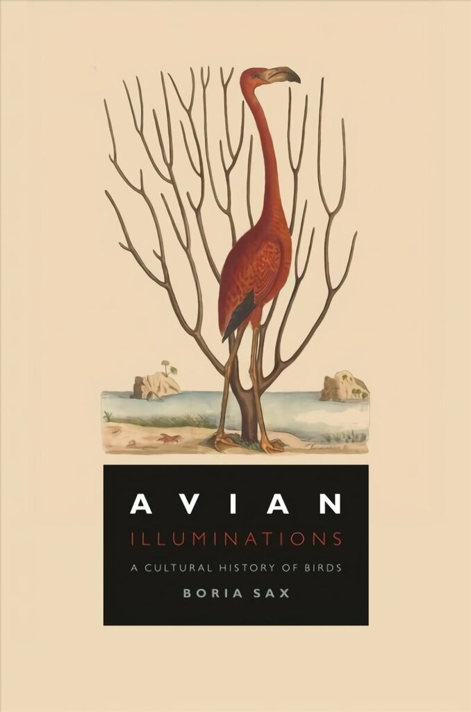 Avian Illuminations: A Cultural History of Birds cena un informācija | Izglītojošas grāmatas | 220.lv