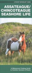 Assateague/Chincoteague Seashore Life: A Waterproof Folding Guide to Familiar Animals & Plants 2nd ed. cena un informācija | Izglītojošas grāmatas | 220.lv