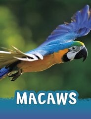 Macaws cena un informācija | Grāmatas pusaudžiem un jauniešiem | 220.lv