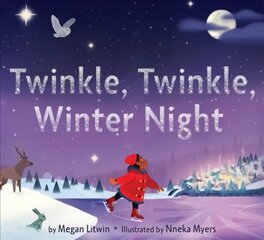 Twinkle, Twinkle, Winter Night cena un informācija | Grāmatas mazuļiem | 220.lv