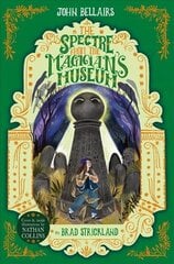 Spectre From the Magician's Museum - The House With a Clock in Its Walls 7 цена и информация | Книги для подростков и молодежи | 220.lv