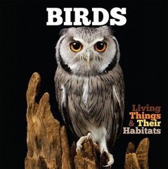 Birds None ed. цена и информация | Книги для подростков и молодежи | 220.lv