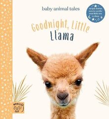 Goodnight Little Llama: Simple stories sure to soothe your little one to sleep цена и информация | Книги для подростков и молодежи | 220.lv