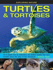 Exploring Nature: Turtles & Tortoises: An in-Depth Look at Chelonians, the Shelled Reptiles That Have Existed Since the Time of Dinosaurs cena un informācija | Grāmatas pusaudžiem un jauniešiem | 220.lv