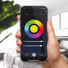 LED RGB Wi-Fi 5м Smart Tuya IP65 + CCT + Dim 12В Комплект цена и информация | Светодиодные ленты | 220.lv