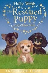Rescued Puppy and Other Tales: The Rescued Puppy, The Lost Puppy, The Secret Puppy cena un informācija | Grāmatas pusaudžiem un jauniešiem | 220.lv