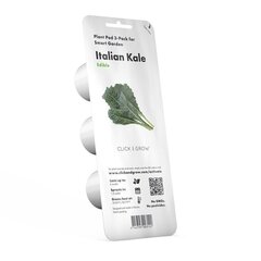 Click & Grow Smart Refill Тосканская капуста кале 3 шт. цена и информация | Проращиватели, лампы для растений | 220.lv