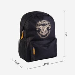 Школьная сумка Гарри Поттера, 41 см цена и информация | Рюкзаки и сумки | 220.lv