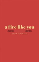 fire like you цена и информация | Поэзия | 220.lv