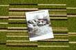 Paklājs - celiņš HEAT-SET FRYZ NELI zaļš 90 cm цена и информация | Paklāji | 220.lv