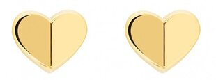 Позолоченные серьги-сердечки Tommy Hilfiger TH2780300 цена и информация | Серьги | 220.lv
