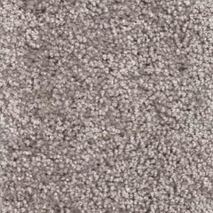 Narma paklājs Aruba 200x300 cm cena un informācija | Paklāji | 220.lv