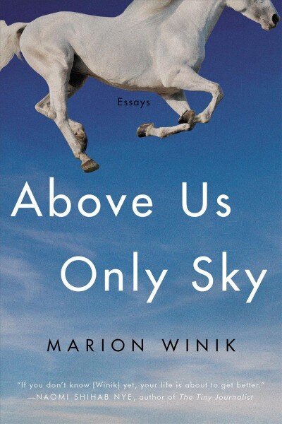 Above Us Only Sky: Essays cena un informācija | Dzeja | 220.lv