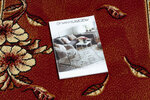 Rugsx ковровая дорожка BCF Trio, бордовая, 80 см