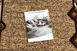 Rugsx ковровая дорожка BCF Baryton, бежевая, 80 см