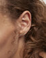 PDPAOLA Maigi apzeltīti gareniski auskari ar mirdzošiem kristāliem BLUE TIDE Gold AR01-432-U cena un informācija | Auskari | 220.lv