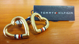 Серьги в форме сердца из стали Tommy Hilfiger TH2700909 цена и информация | Серьги | 220.lv