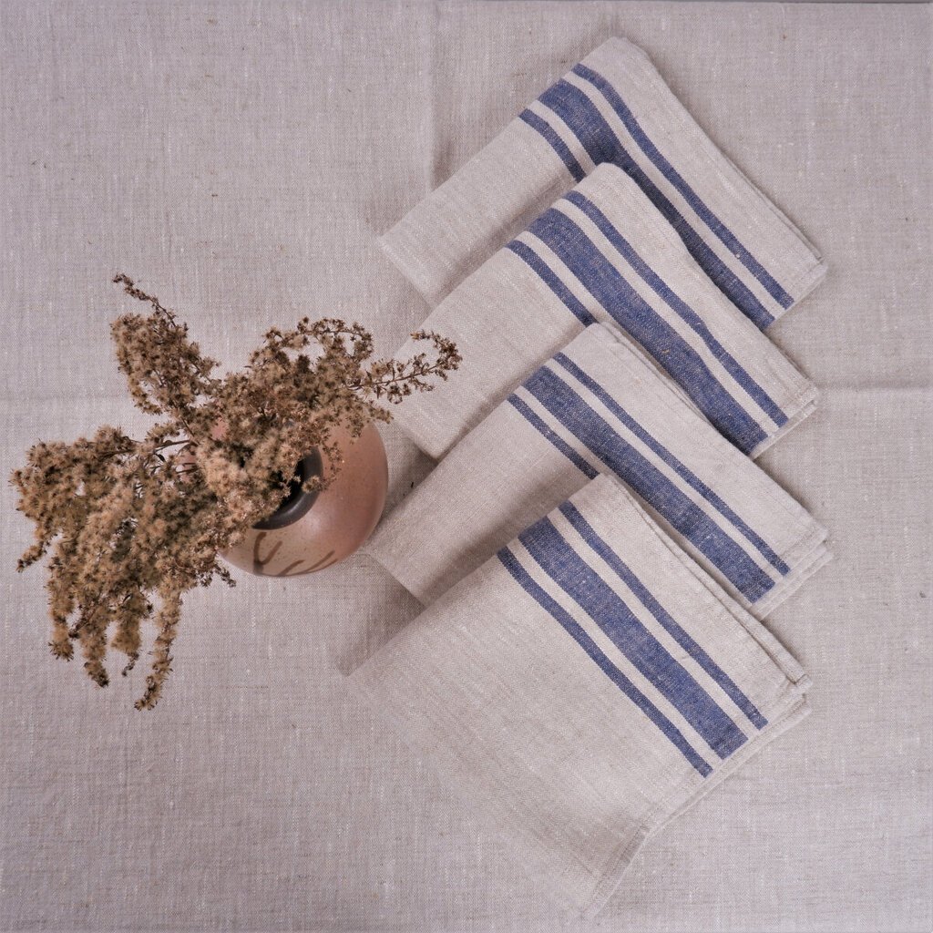 Lina galda salvetes Navy blue, 4 gab., 40x40 cm. cena un informācija | Galdauti, salvetes | 220.lv