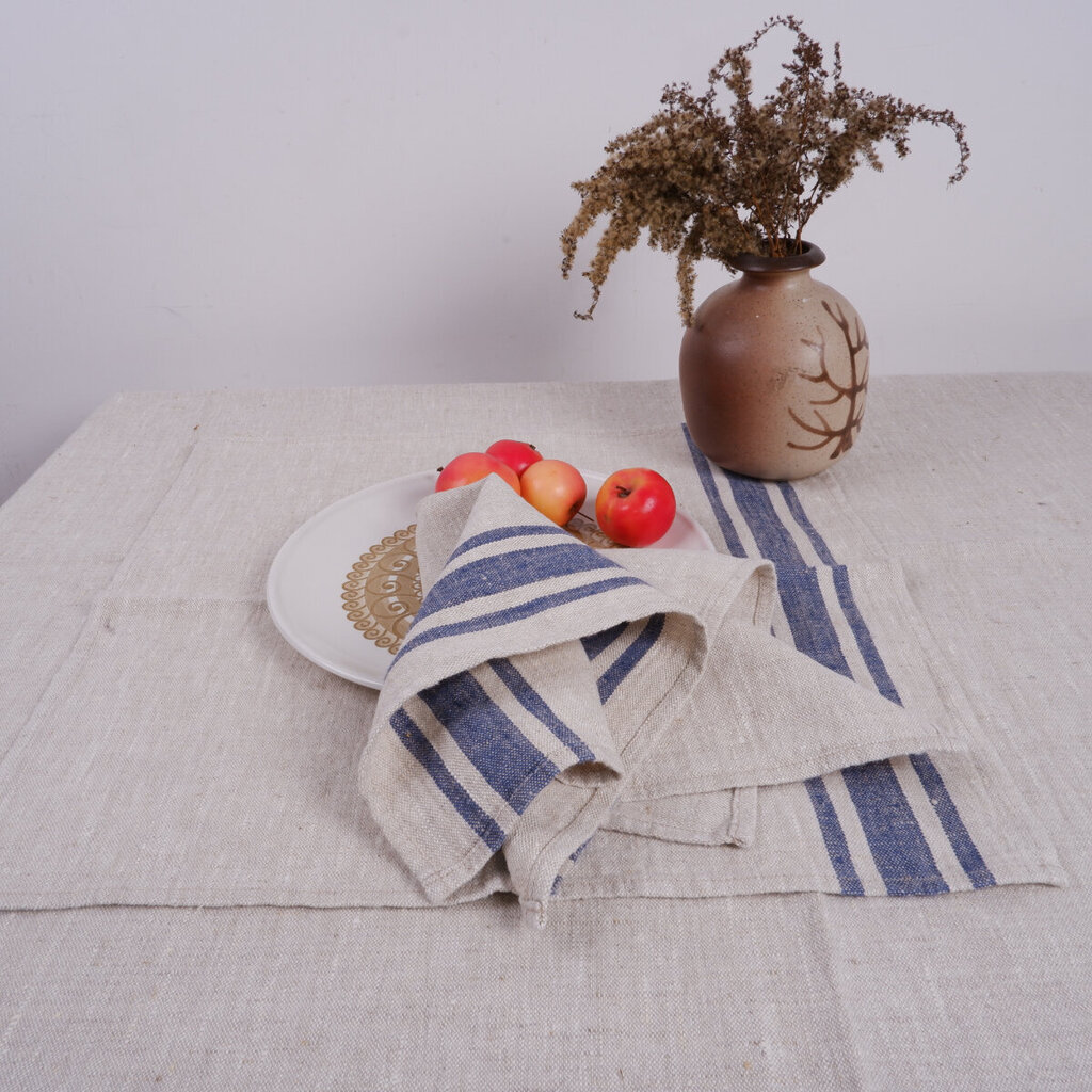 Lina galda salvetes Navy blue, 2 gab., 40x40 cm. cena un informācija | Galdauti, salvetes | 220.lv