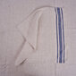 Lina galda salvetes Navy blue, 2 gab., 40x40 cm. cena un informācija | Galdauti, salvetes | 220.lv