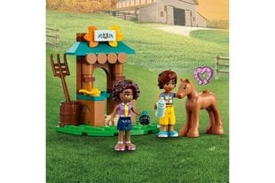 41730 LEGO® Friends Otumas māja cena un informācija | Konstruktori | 220.lv
