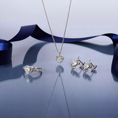 Morellato Романтические серебряные серьги с кристаллами Tesori SAVB05 цена и информация | Серьги | 220.lv